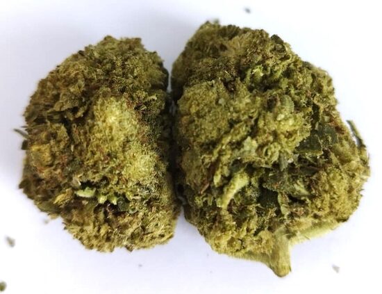 Gorilla Frost standartiniai CBD kanapių žiedai